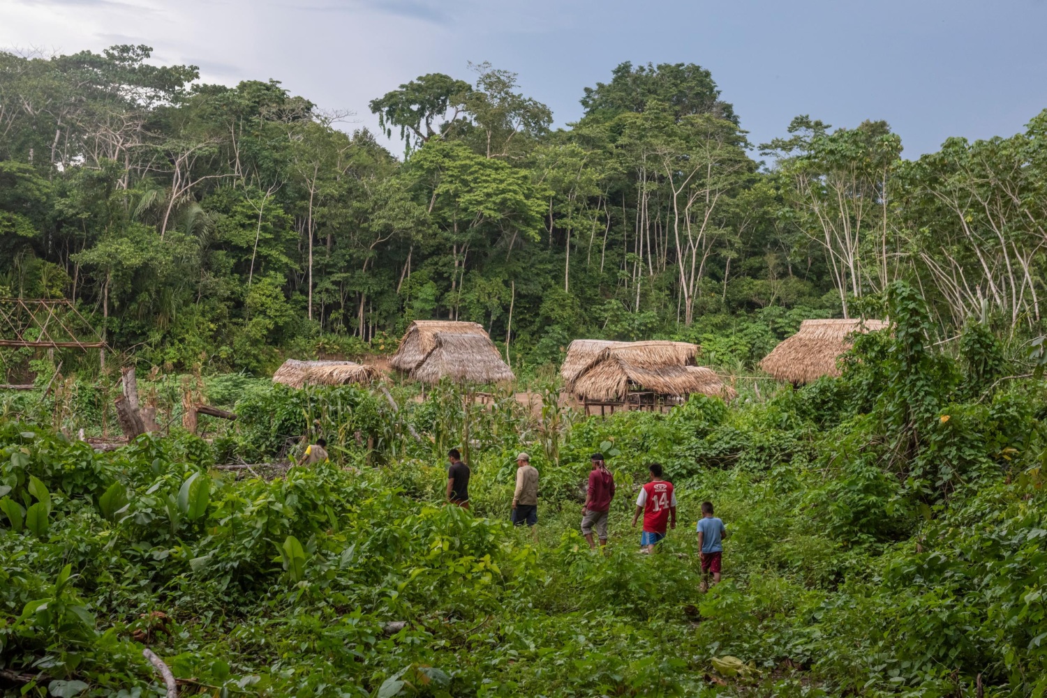 Ashaninka Indigenous peoples and their allies walking to a village in the Amazon.