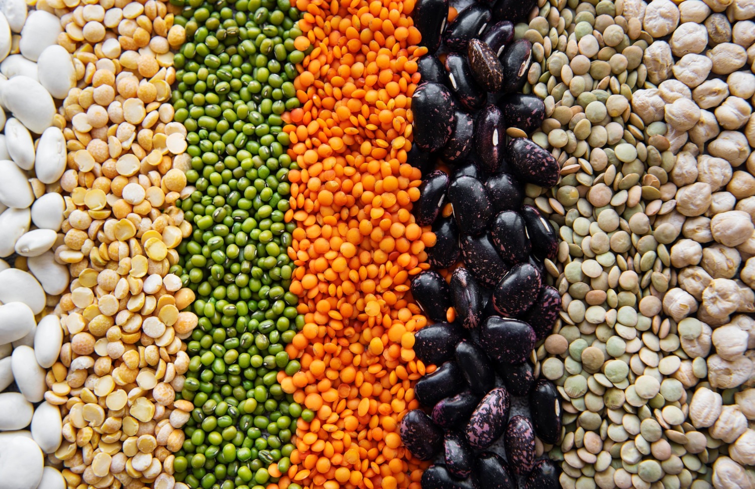 Food Natural Background Made With Different Legumes