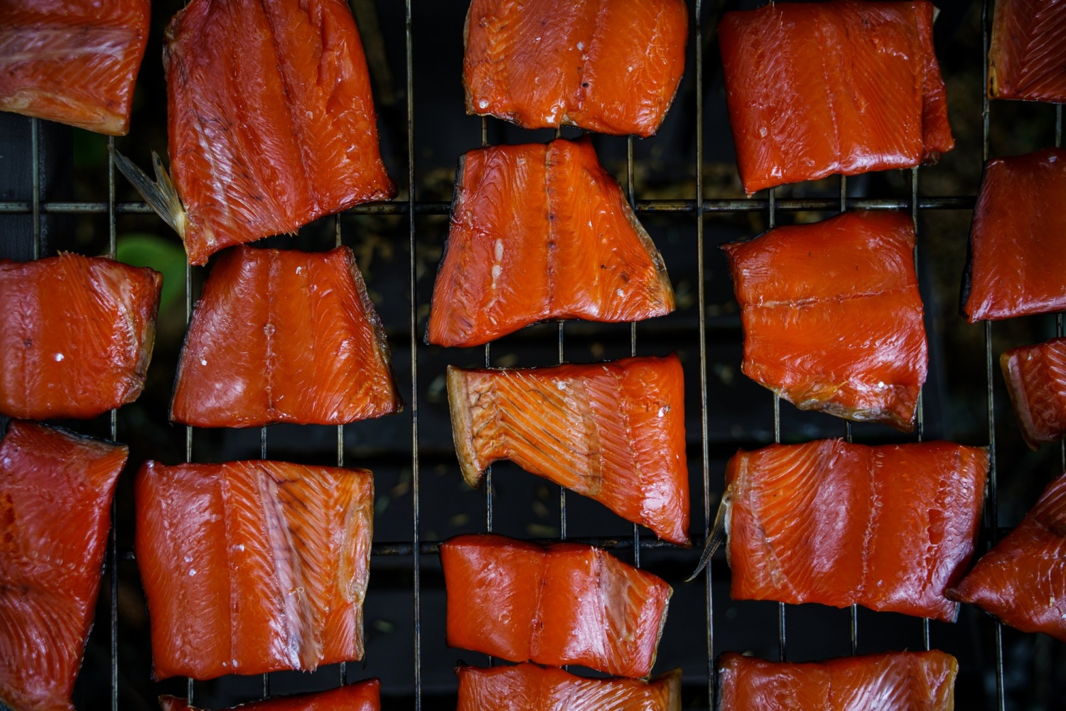 Sockeye salmon filets being prepared to smoke.