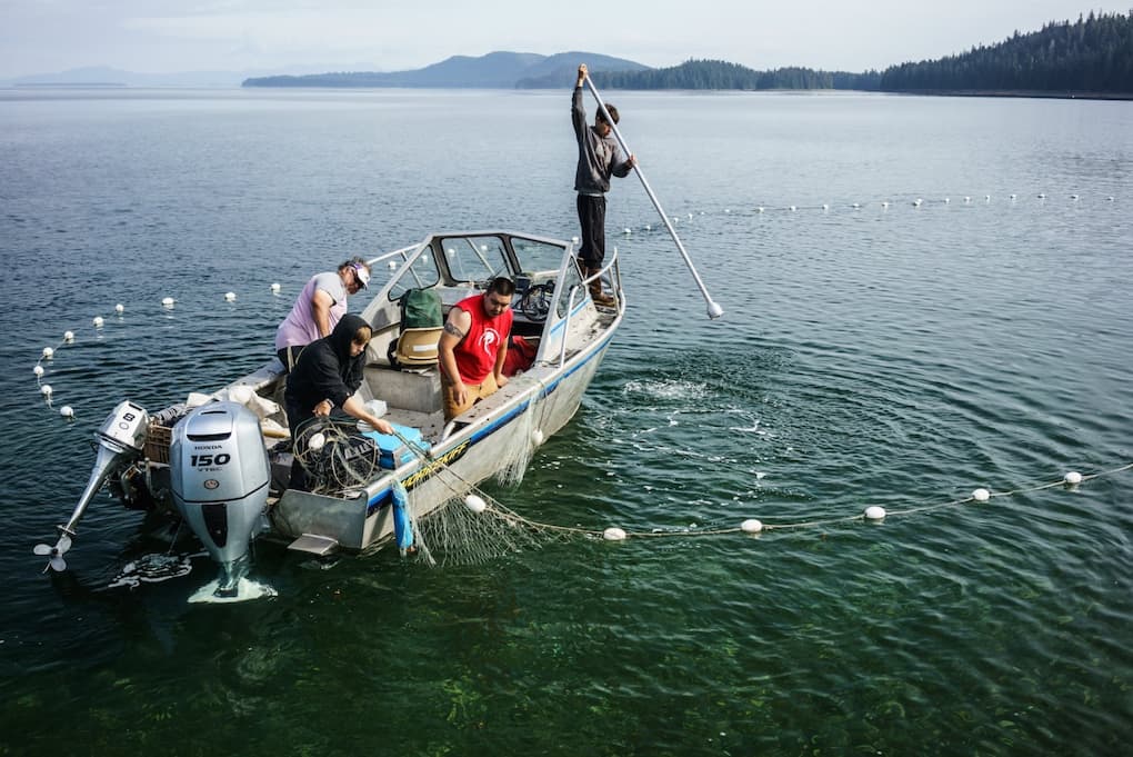 Boat from The Organized Village of Kake harvesting pink and sockeye salmon for processing and distributing to elders and those in need in the community of Kake.