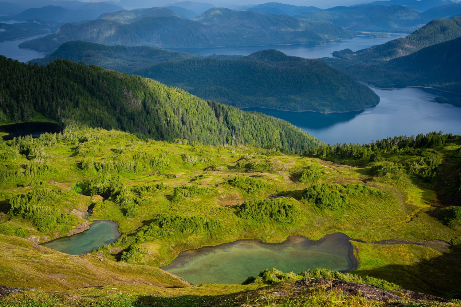 View of alpine lakes on Starrigavan mountain near Sitka, Alaska.