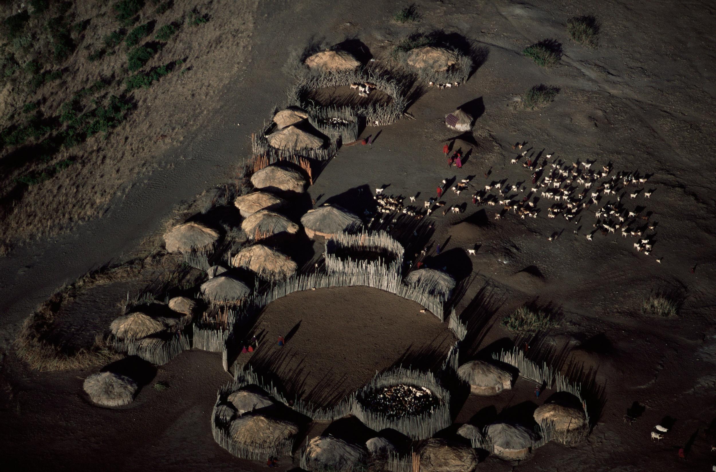 Aerial view of Maasai manyatta, a village near Lake Natron with animal enclosure and livestock, Maasai Mara, Kenya