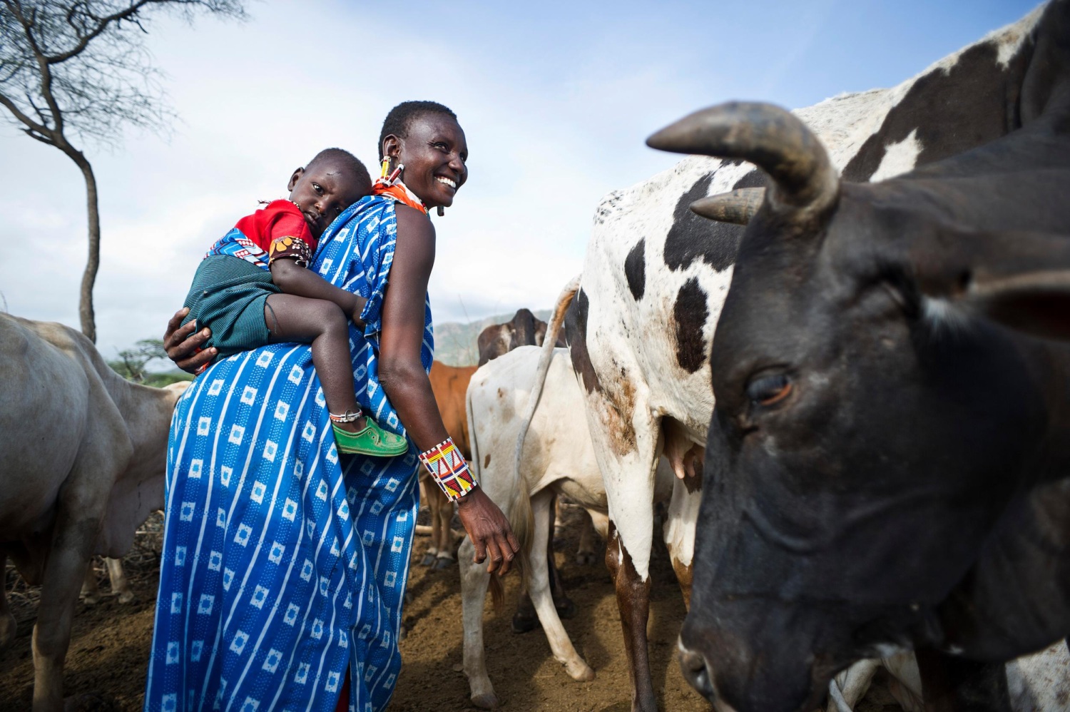 Maasai woman with baby on her back smiles while standing next to cattle