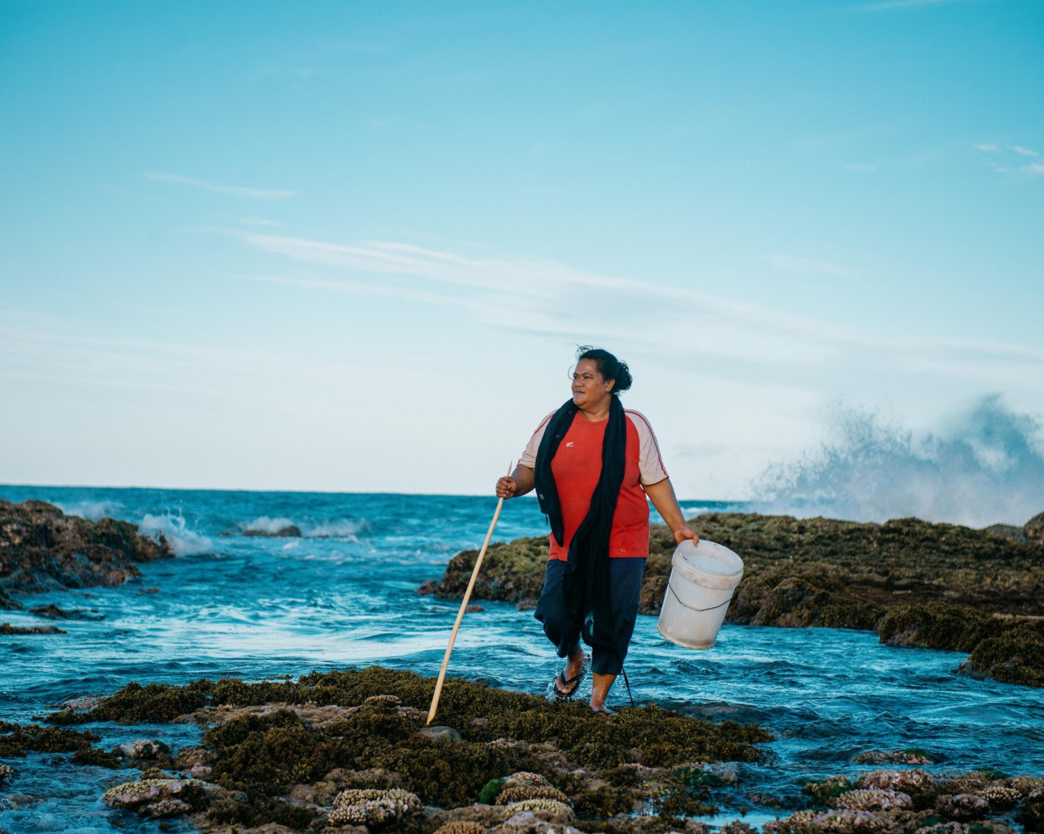 Woman harvesting seafood on a reef close to the shore in Tonga on the island of Tongatapu.