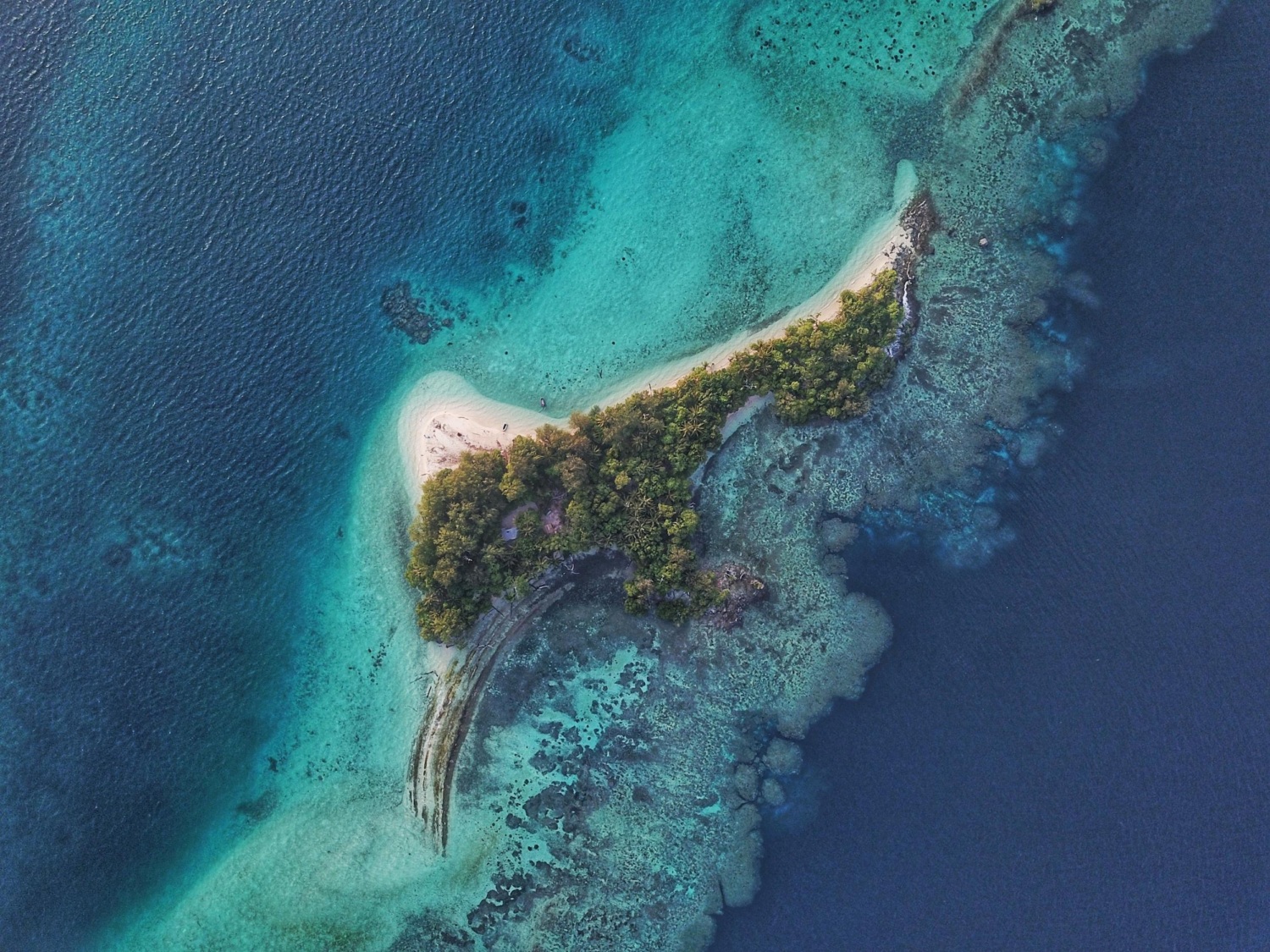 Top-down shot of an uninhabited island in the Solomon Islands covered in lush greenery. There are boat tracks in the shallow waters of the reef surrounding the island.