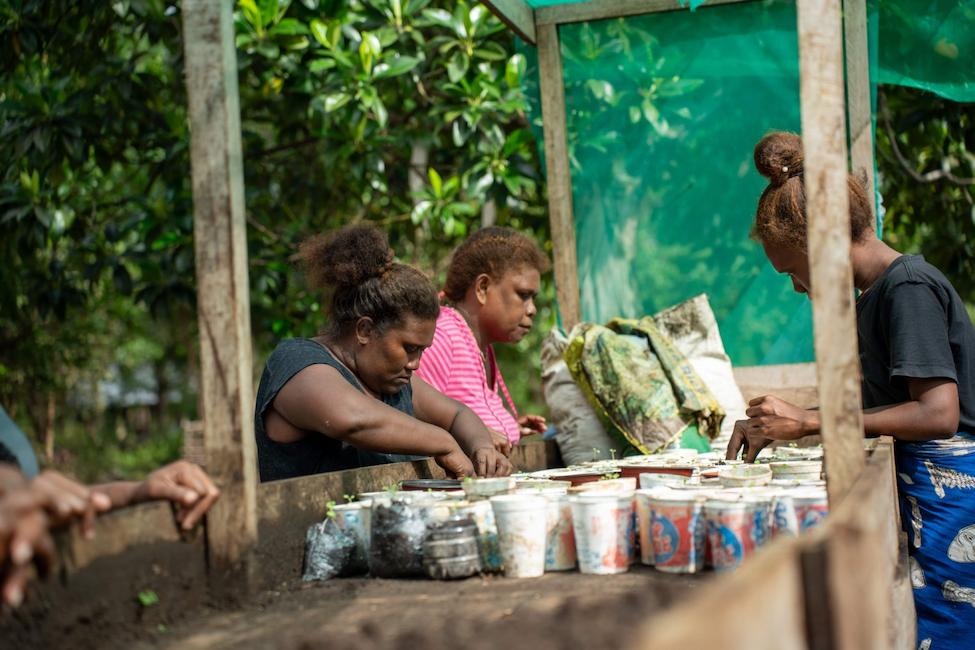 Women planting and tending seedlings in a garden bed.