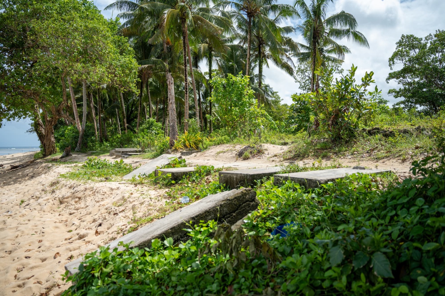 Graves on oceanfront.